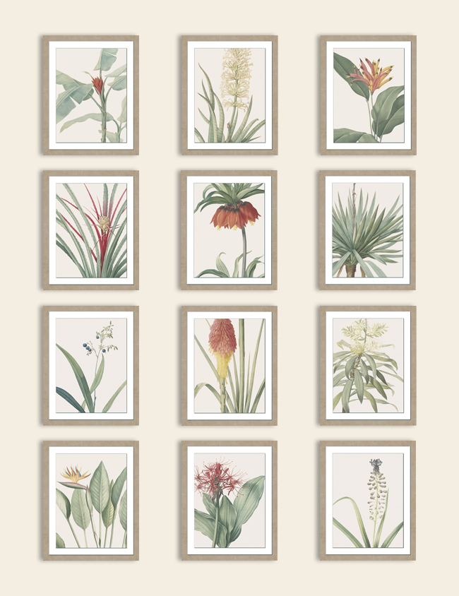 Malmaison Wall Image 650X844