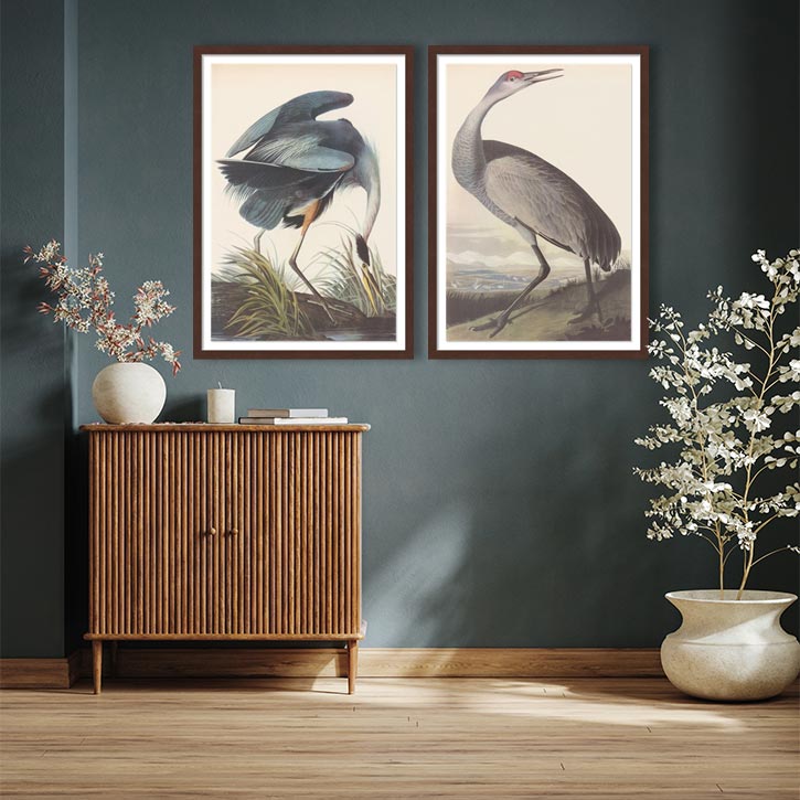 CE29 The Ornithologist Wall Image 725X725